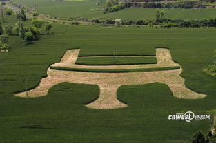 岐山麥田毛公鼎景觀 大地藝術的當代呈現